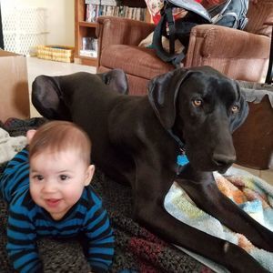 Meet your Posher, Gina